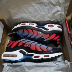未使用　ナイキ　 エアマックスプラス　ウィメンズ