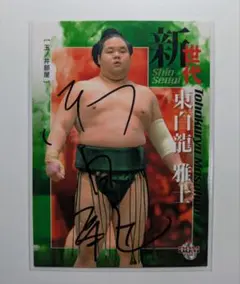 Item thumbnail for item cfcd231f-0b71-40f1-8fa8-b07126aa6a38