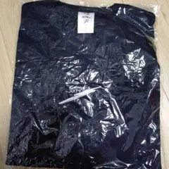 Item thumbnail for item 93be41fe-6e1c-4a4f-ab4a-fa66074578d3