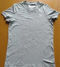 アバクロンビー&フィッチ Tシャツ Sサイズ