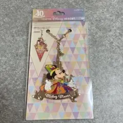 【週末値下げ】ディズニー　40周年　ガーランド　バッグチャーム