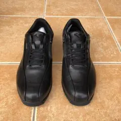 ミズノウォーキングシューズ