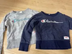 チャンピオントレーナー110