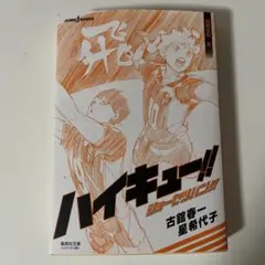 ハイキュー！！ ショーセツバン！！ 烏野高校・春
