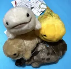 オーさんしょうさん やっほーVMCコンプリート オオサンショウウオ