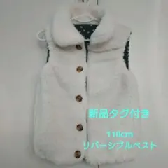 Item thumbnail for item 5e194534-c884-493c-b299-b968171b335d