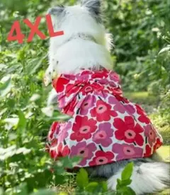 犬服 花柄スカート　ワンピース服 大型犬服　中型犬の服　花柄　4XL