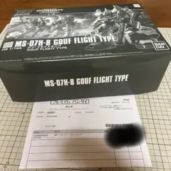 グフ フライトタイプ HG