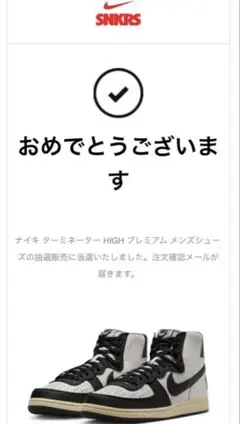 【NIKE】Terminator High