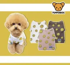 Item thumbnail for item 0015705e-bf3d-43c9-a897-b495f75eddc8