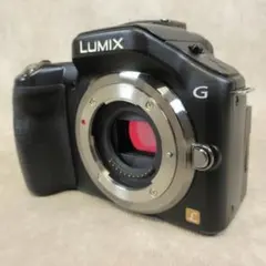 Panasonic LUMIX DMC-G5 ミラーレス一眼 カメラ 3584 - メルカリ