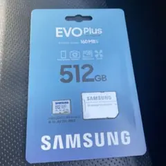 ふ*ぶ様 SAMSUNG EVO Plus 512GB microSDカード