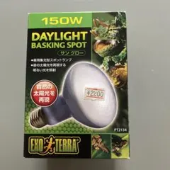 DAYLIGHT BASKING SPOTのサムネイル