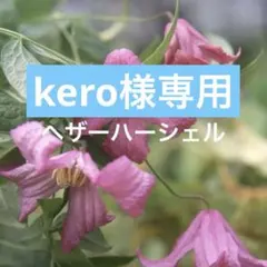 E ＊kero様 リクエスト 3点 まとめ商品