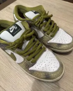 NIKE SB DUNK LOW CHAMELEONのサムネイル