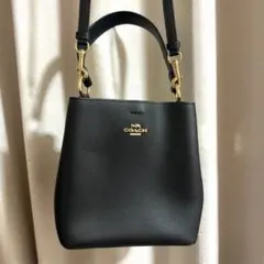 【値下げ中】COACH 2WAY バッグのサムネイル