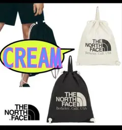 ノースフェイス BIG LOGO STRING BAG ナップサック ジムサック