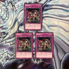 翔太郎様 リクエスト 2点 まとめ商品