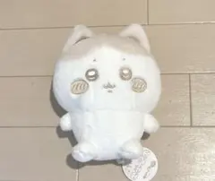 ちいかわ ぬいぱれっと