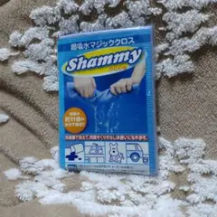 Item thumbnail for item d308db6c-6ae4-46f0-bc95-8bb9e408122b