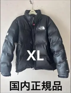 国内正規品 XL 17FW SUPREME×THE NORTH FACE
