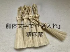 Item thumbnail for item e5197436-81d0-4954-956a-6b3bbfed7fd4