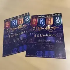 舞台 ハリー・ポッターと呪いの子 フライヤー ２枚