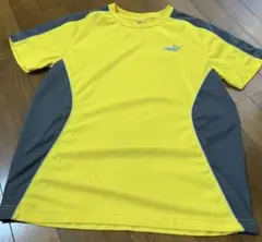 プーマ　PUMA スポーツスタイル Tシャツ M
