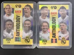 Item thumbnail for item c948d073-fedb-4b1a-8eef-c1a521830a96