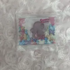 TWICE LOVELYS グミ＆チャーム ポーチつき モモ