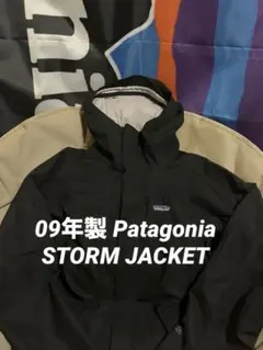 2025年最新】パタゴニア ストームジャケットの人気アイテム