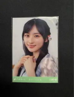 Item thumbnail for item 5003fca6-1735-463a-abe2-70270ef857e4