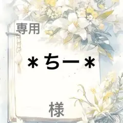 ＊ちー＊ 様　専用
