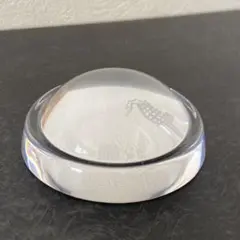 Item thumbnail for item e9667204-b125-4ee9-9dd3-b7d4f5cf23d4