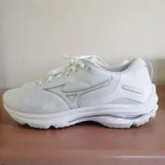 Item thumbnail for item 93ad4c2a-d6fe-449b-bfa0-fd3baea4b1b0