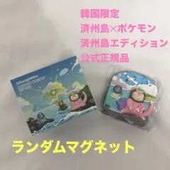 韓国限定】ポケモン 済州島 エディション ランダムマグネット - メルカリ