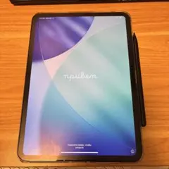 Apple iPad Pro M4 11インチ 256GB wifi おまけ多数