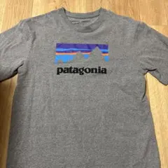 patagonia グレー Tシャツ
