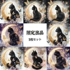 パネル生地　新柄(SY59r) 猫8柄　3枚セット