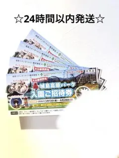 城島高原パーク 入園ご招待券 4枚（大分県別府市）優待プラン有☆24時間以内発送のサムネイル