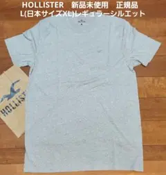 HollisterTシャツ新品未使用