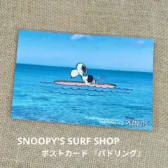 ②スヌーピーズサーフ 沖縄限定ポストカード パドリング　SNOOPY
