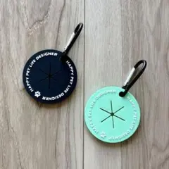 Item thumbnail for item 4a63a80d-5c95-4690-9b5b-07800bacb978