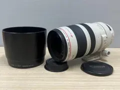 Canon キヤノン EF 100-400mm F4.5-5.6L IS USMのサムネイル