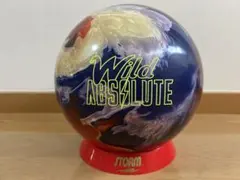 送料込み【新品】アイオン・マックス・パール ストーム 15ポンド3