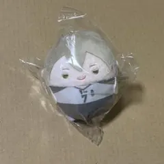 木葉秋紀 ふわコロりん くじメイト D賞 ハイキュー！！