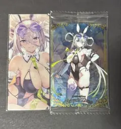 FGO fate ウエハース　編成画面風カード　水着　呼延灼