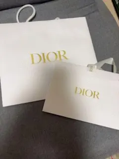 DIOR ギフト袋 大小セット