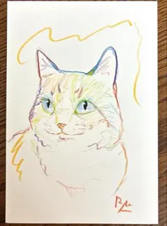 猫　絵画　ドローイング