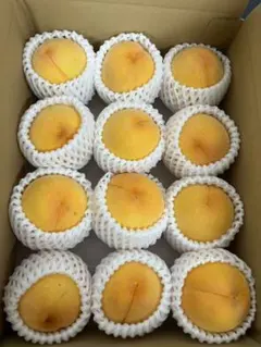岡山県産一宮ブランド マンゴーピーチB級品 1.3kg 4玉入り【①】家庭用
